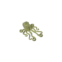 Animal, Octopus
 [Plain]